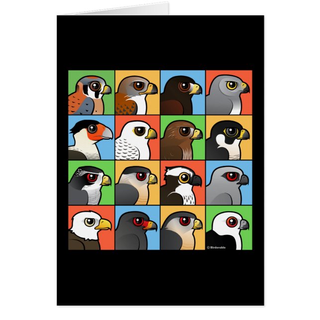 16 norr - amerikanrovfågeln profilerar OBS kort (Framsidan)