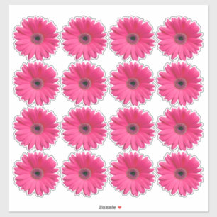 16 rosa Gerbera Daisy blomma kiss-cut klistermärke Klistermärken