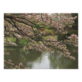 16-tums x12-tums Rosa Dogwood Fototryck