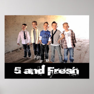 16-tums x 12-tums 5-tumsskärm och Poster färsktunn