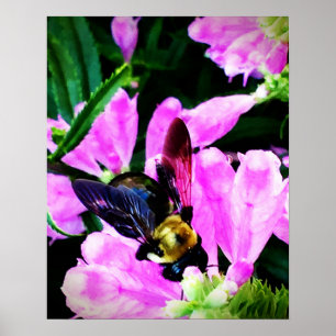 16-tums x 20-tums poster (halvglans)Bees Ögon-saml