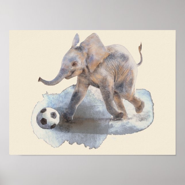 16" x 12", Premium Canvas Affischpapper (Glans) Poster (Framsidan)