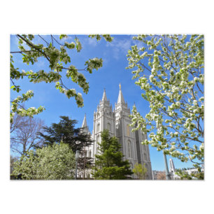 16" X 12" Salt Lake City LDS tempel Fototryck