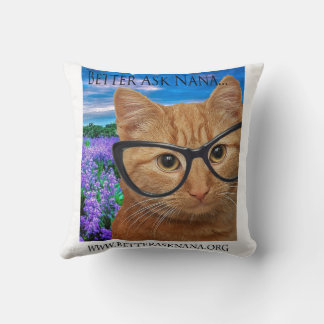 16 x 16 kuddar bättre fråga nana