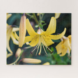 16 x 20, 520 Biet, Pussel