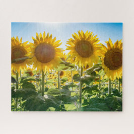 16 x 20, 520 Biet, Pussel