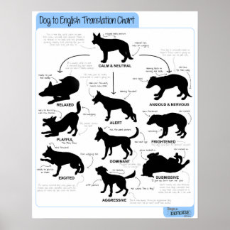 16 x 20 brödspråk poster