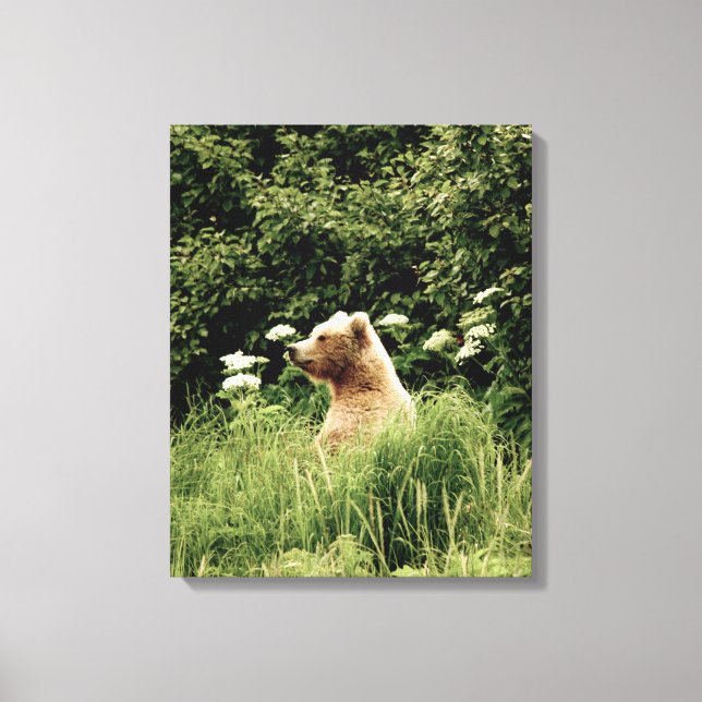 16 x 20 Wrapped Canvas (glans) med grizzly-björn (Framsida)