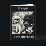 **16th BIRTHDAY ÄR ETT "COOLEST"-KORT NÅGON GÅNG Kort<br><div class="desc">TACK FÖR ATT JAG STOPPADE ETT AV MINA ÅTTA LAGER! EN COOLA BIRTHDAY SÄGER ATT DE TVÅ "COOLA VALPER!"</div>