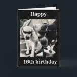 **16th BIRTHDAY ÄR ETT "COOLEST"-KORT NÅGON GÅNG Kort<br><div class="desc">TACK FÖR ATT JAG STOPPADE ETT AV MINA ÅTTA LAGER! EN COOLA BIRTHDAY SÄGER ATT DE TVÅ "COOLA VALPER!"</div>