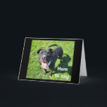 **16th BIRTHDAY** HUMOR FRÅN EN COOLA HUND Kort<br><div class="desc">VILKET BIRTIDKORT,  SÅ TÄNKA!!!!!!!!! Och kom ihåg att du kan ändra AGE och VERSE om du vill. TACK för att jag stannar vid 1 av mina 8 butiker!!</div>