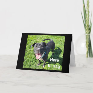 **16th BIRTHDAY** HUMOR FRÅN EN COOLA HUND Kort