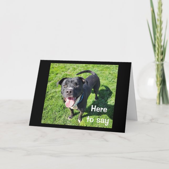 **16th BIRTHDAY** HUMOR FRÅN EN COOLA HUND Kort (Framsida)