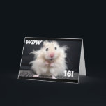 ***16th BIRTHDAY ÖNSKEMÅL*** W0W HAIR ÄR PÅ SLUT!! Kort<br><div class="desc">TACK FÖR ATT JAG STOPPADE ETT AV MINA ÅTTA LAGER. KOMMA IHÅG ATT DU KAN FÖRÄNDRA VÄRLDEN OCH ÅLDERN PÅ ALLA MIN KORT OCH HA EN UNDERBAR DAG!!!!!!</div>