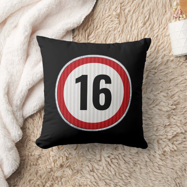 16th Birthday Speed Limit  Kudde (Filt)