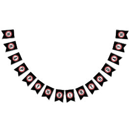 16th Birthday Speed Limit Vimplar