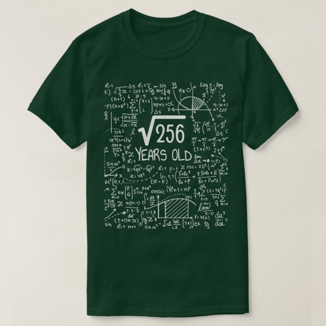 16th Birthday Square Root of 256 16 Years Old  T Shirt (Design framsida)