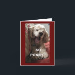 **16th BIRTHDAY WISH FRÅN COMEDIC SPANIEL** Card Kort<br><div class="desc">TACK FÖR ATT JAG STOPPADE ETT AV MINA ÅTTA LAGER!</div>