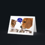 **16th** BIRTHDAY=WOW, DET ÄR "DU" Kort<br><div class="desc">Skicka den här hund till den speciella 16-åringen i ditt liv. Jag är säker på att det kommer att le på hans eller hennes ansikte :) Ha ROLIGT med det!!!!!!!!!</div>