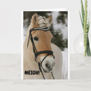 ***16th BIRTHDAY**** WOW SÄGER ÖVERPRISET HORSE-Ko Kort