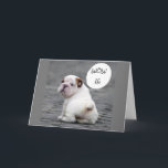 **16th BRITHDAY SÄGER BULLDOG*** Kort<br><div class="desc">TACK FÖR ATT JAG STOPPADE MED 1 AV MINA 8 LAGRINGAR!!!!!!!!</div>