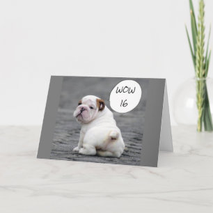 **16th BRITHDAY SÄGER BULLDOG*** Kort