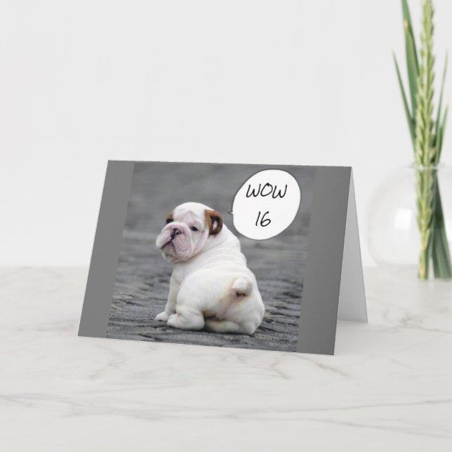 **16th BRITHDAY SÄGER BULLDOG*** Kort (Framsida)