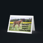 **16TH** ÖNSKEMÅL FRÅN EN MYCKET "COOLA HORSE" KORT<br><div class="desc">TACK FÖR ATT JAG STOPPADE MED 1 AV MINA 8 LAGRINGAR!!!!!!!!</div>