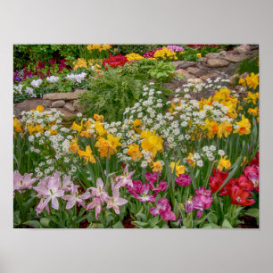 16x12 Färgt Vår blommor i fullt-blomma Poster