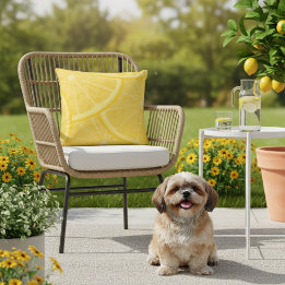 16x16 Gul Meyer Citron Tryck Utomhus Kudd Kudde