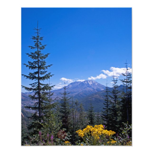 16x20 Mount St Helens Fototryck (Framsidan)