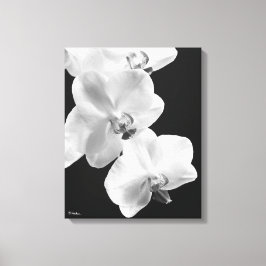 16X20 Orchids in Black&White Wrapped Canvas Art