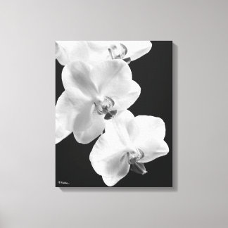 16X20 Orchids in Black&White Wrapped Canvas Art