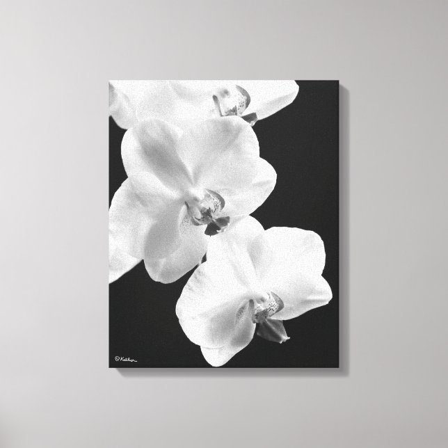 16X20 Orchids in Black&White Wrapped Canvas Art (Framsida)