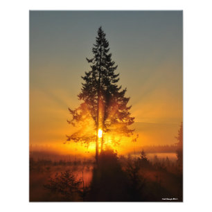 16X20 Soluppgång i Underbara nordväst Fototryck