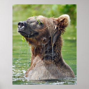 16x20 Värde Poster Papprare (projektionsyta) med s