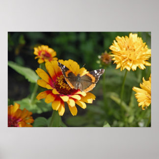 16x24 indisk Blanket Wildblomma och Butterfly Poster