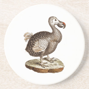1700s för fåglar för Dodos för vintageDodofåg Underlägg Sandsten
