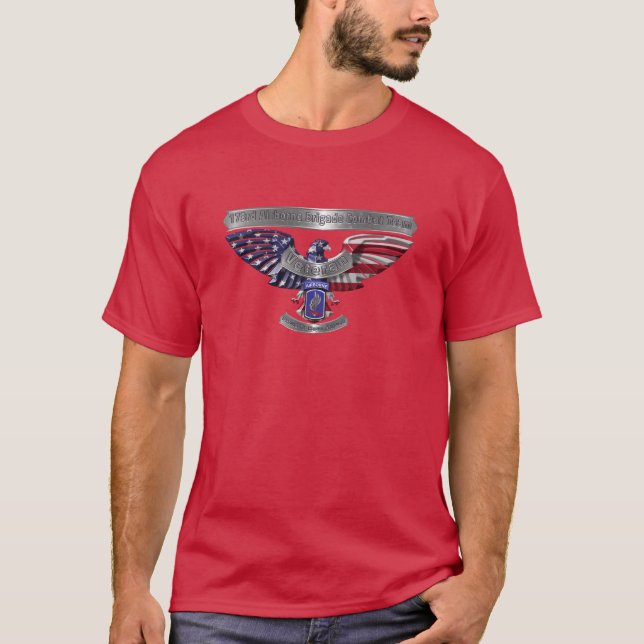 173:e Airborne Brigade-veteran T Shirt (Framsida)