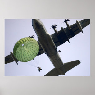 173:e flygburen poster