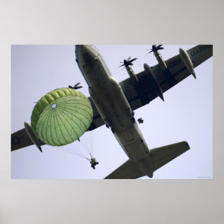 173:e flygburen poster