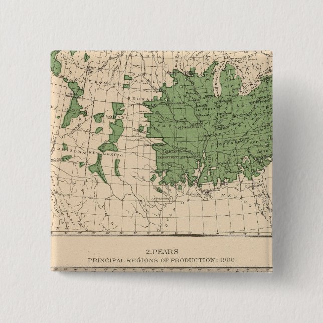 174 Äpplen, päron, huvudområden Knapp (Framsida)