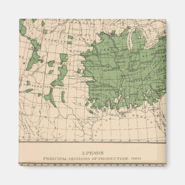 174 Äpplen, päron, huvudområden Magnet (Framsidan)