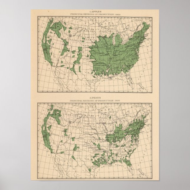 174 Äpplen, päron, huvudområden Poster (Framsidan)