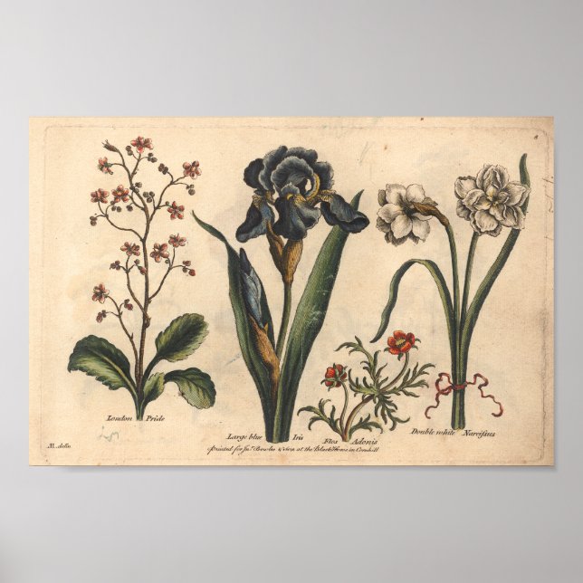 1757 Blåfärgad bild Skriv ut blått ris Poster (Framsidan)