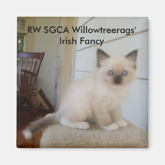 178, RW SGCA Willowtreerags Irish Finare Magnet