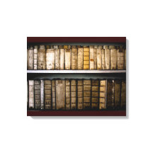 17:e århundradets Vellum-bindningar Antique bokar