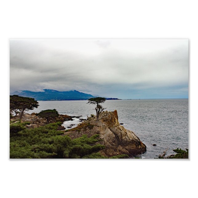 17 Mile Drive Fototryck (Framsidan)