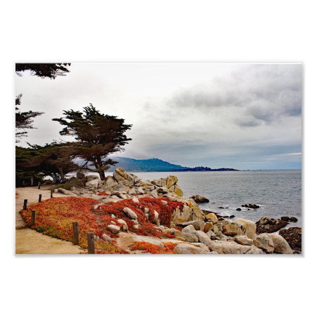 17 Mile Drive Fototryck (Framsidan)