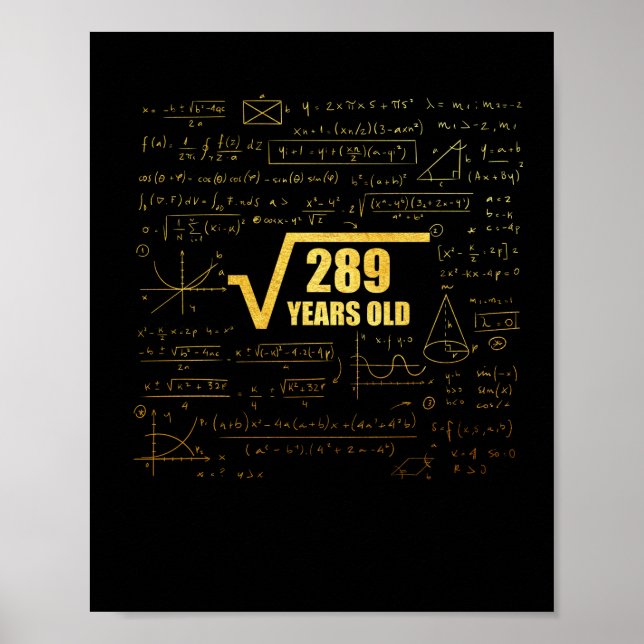 17th Birthday Square Root of  289 17 Years Old Poster (Framsidan)